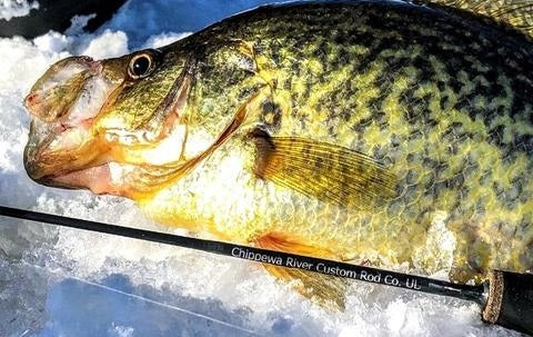 Ice Fishing Rods